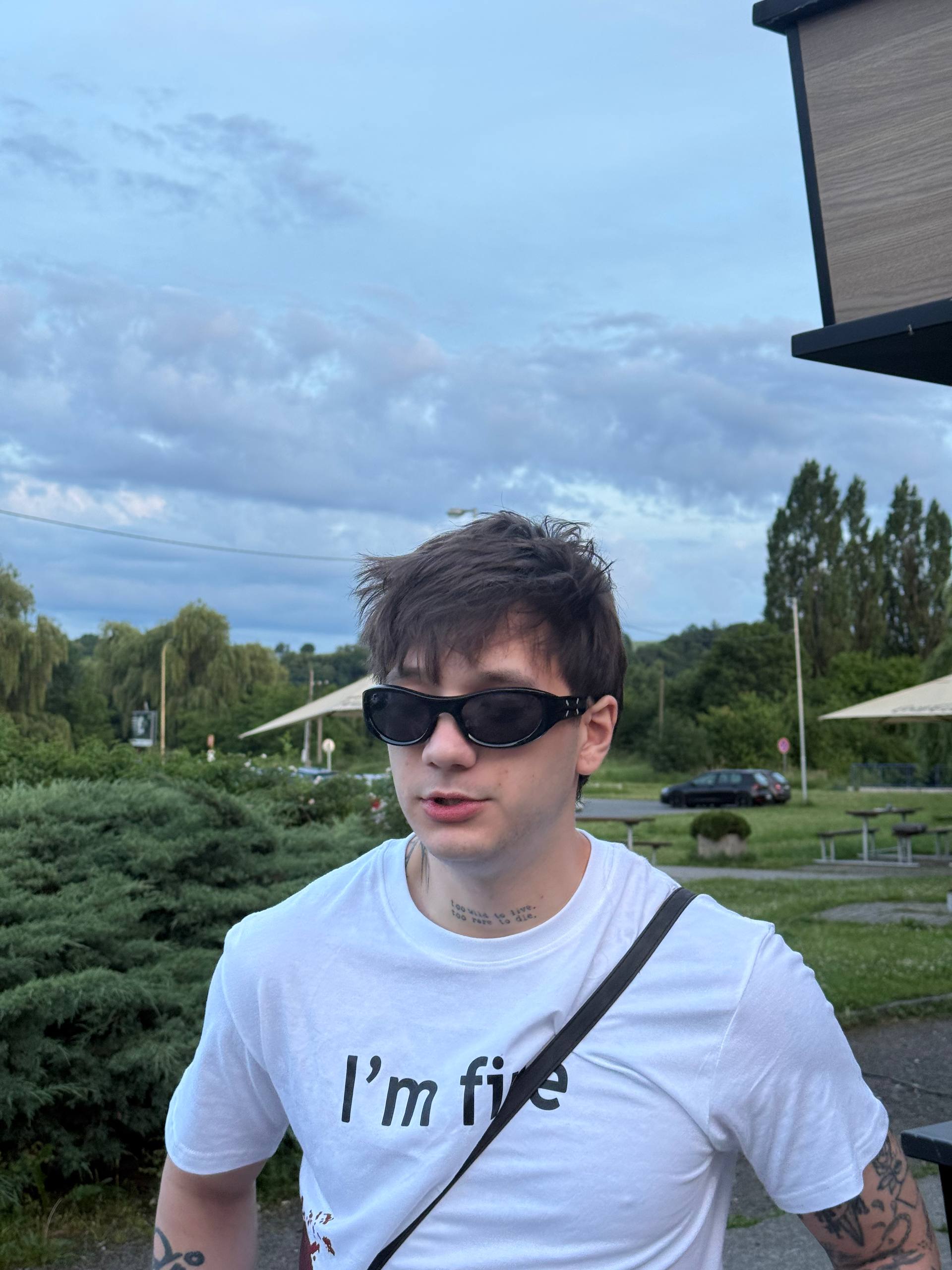 Давид Пославський